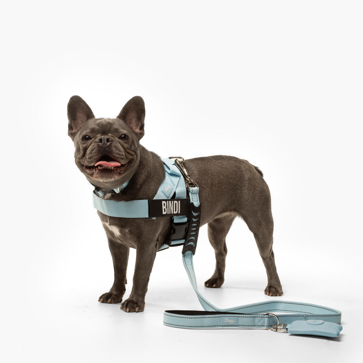 Dog Lovers Pack - Sky Blue