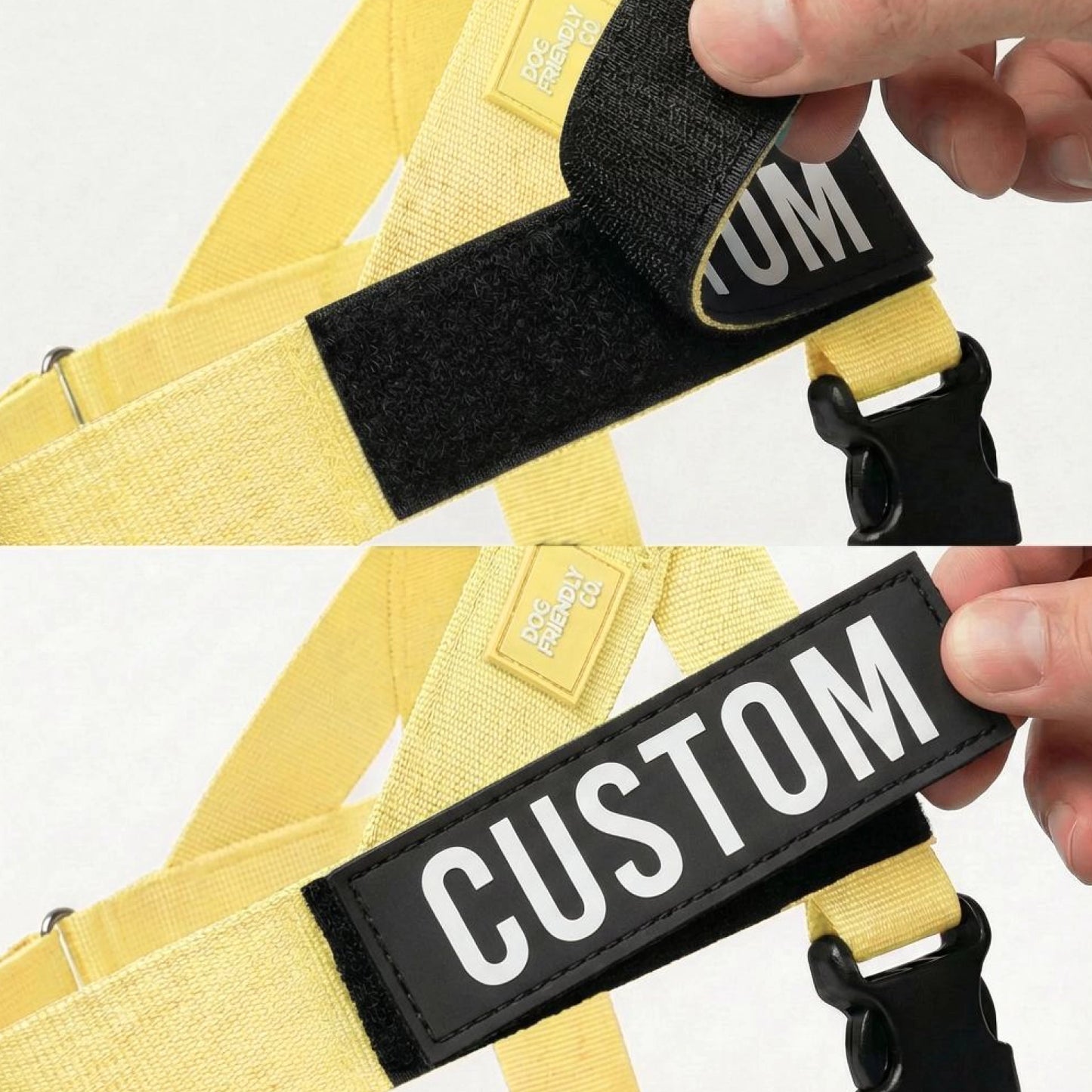 Dog Lovers Pack - Yellow