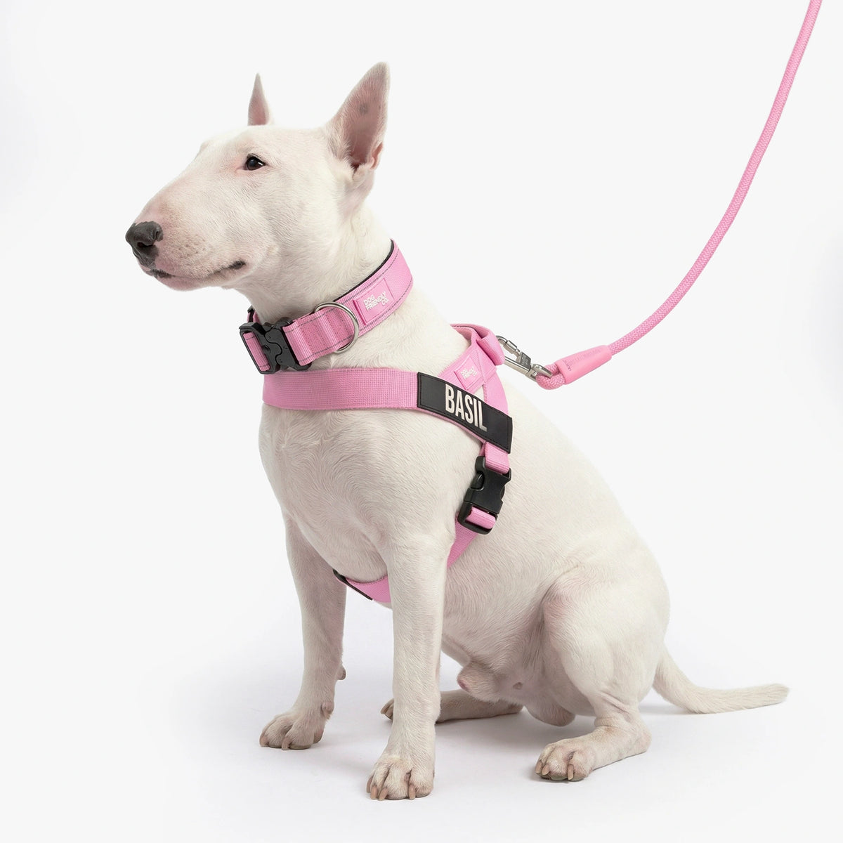 Dog Lovers Pack - Pink