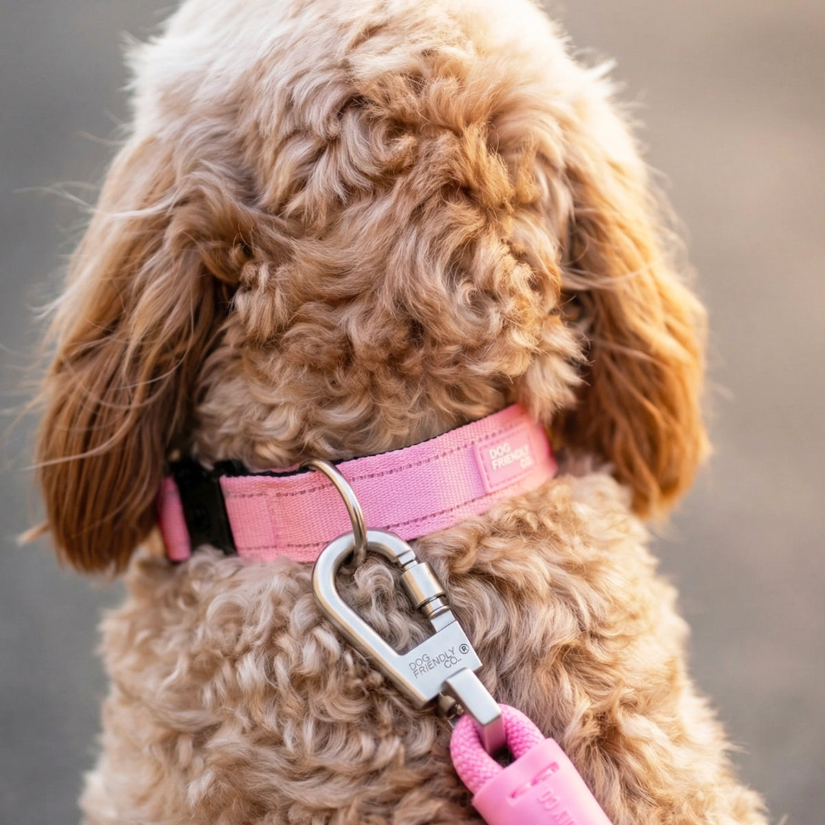 Dog Lovers Pack - Pink