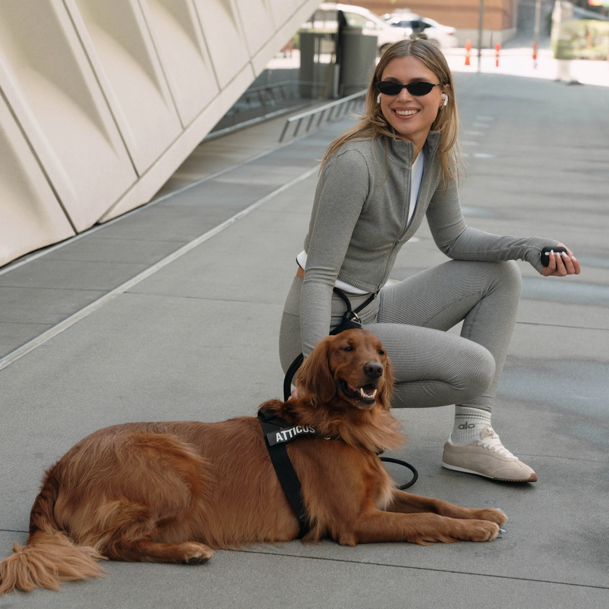 Dog owner wearing the Black hands-free leash around the waist while crouching beside a brown dog wearing a black harness.