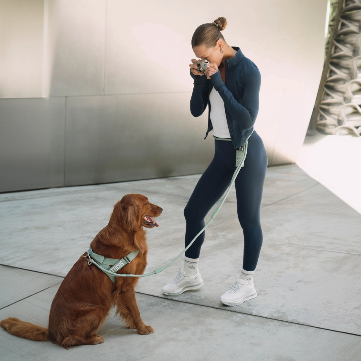 Dog owner wearing the Premium Khaki hands-free leash around the waist while walking a brown dog.