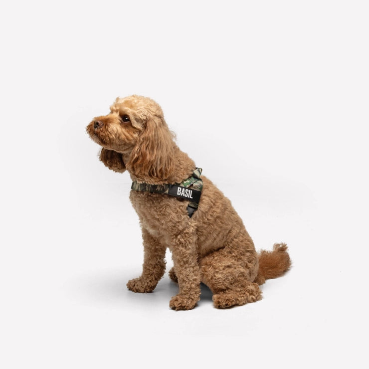 Personalised Dog Harness - Green Camo