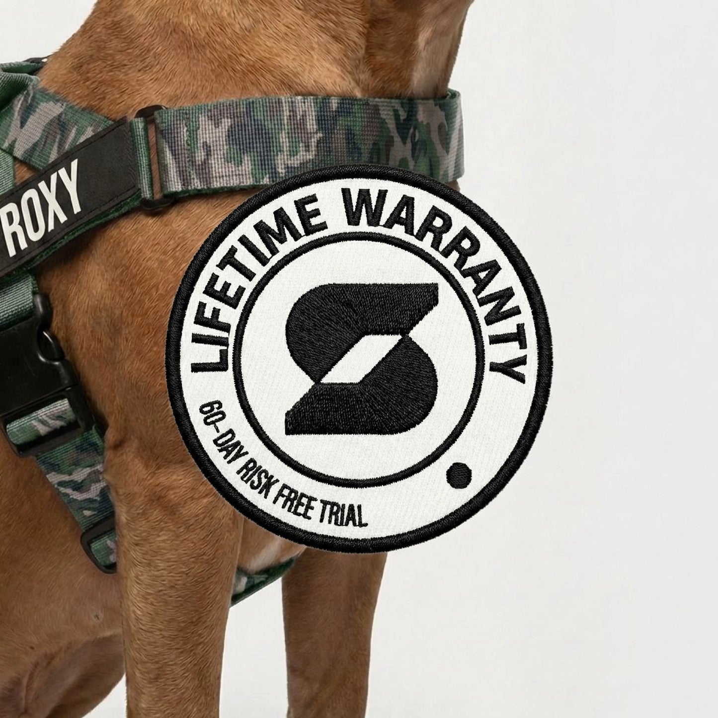 Personalised Dog Harness