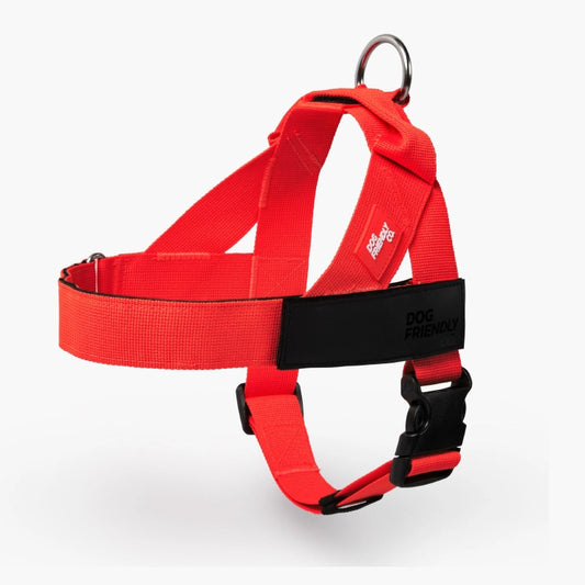Personalised Dog Harness - Red