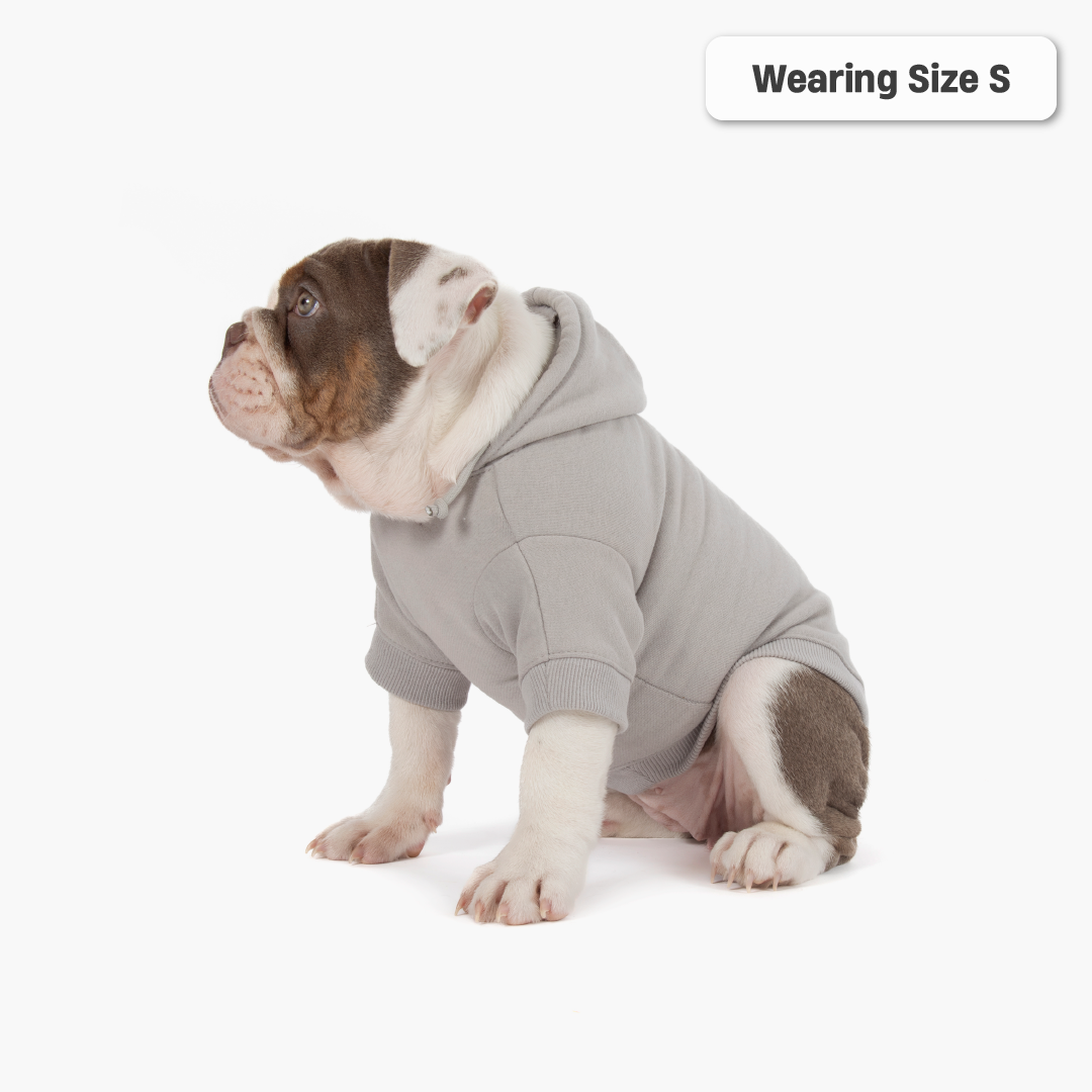 Winter Dog Hoodies - Grey