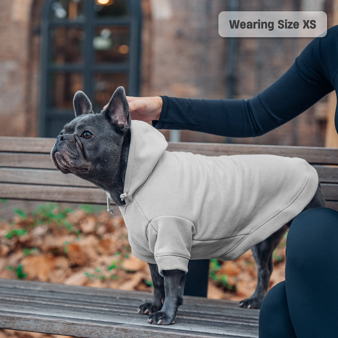 Winter Dog Hoodies - Grey
