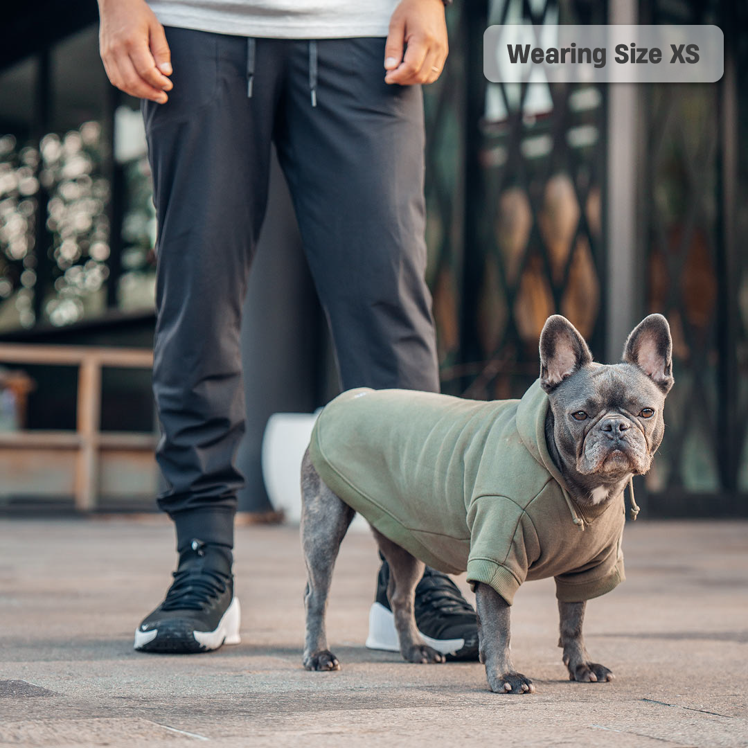 Winter Dog Hoodies - Khaki