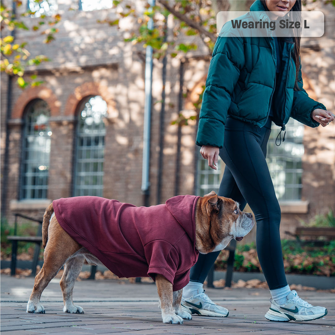 Winter Dog Hoodies - Maroon
