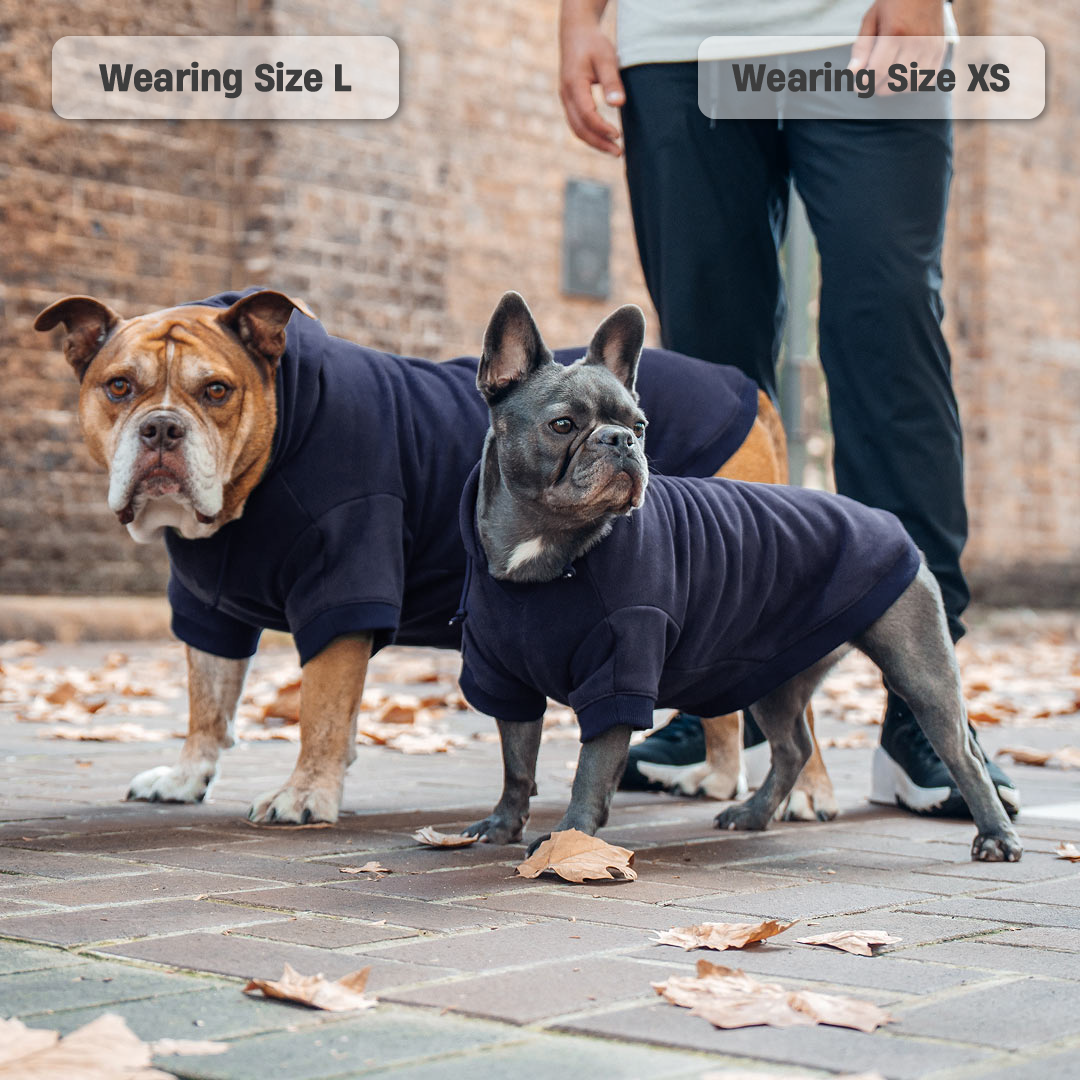Winter Dog Hoodies - Navy Blue