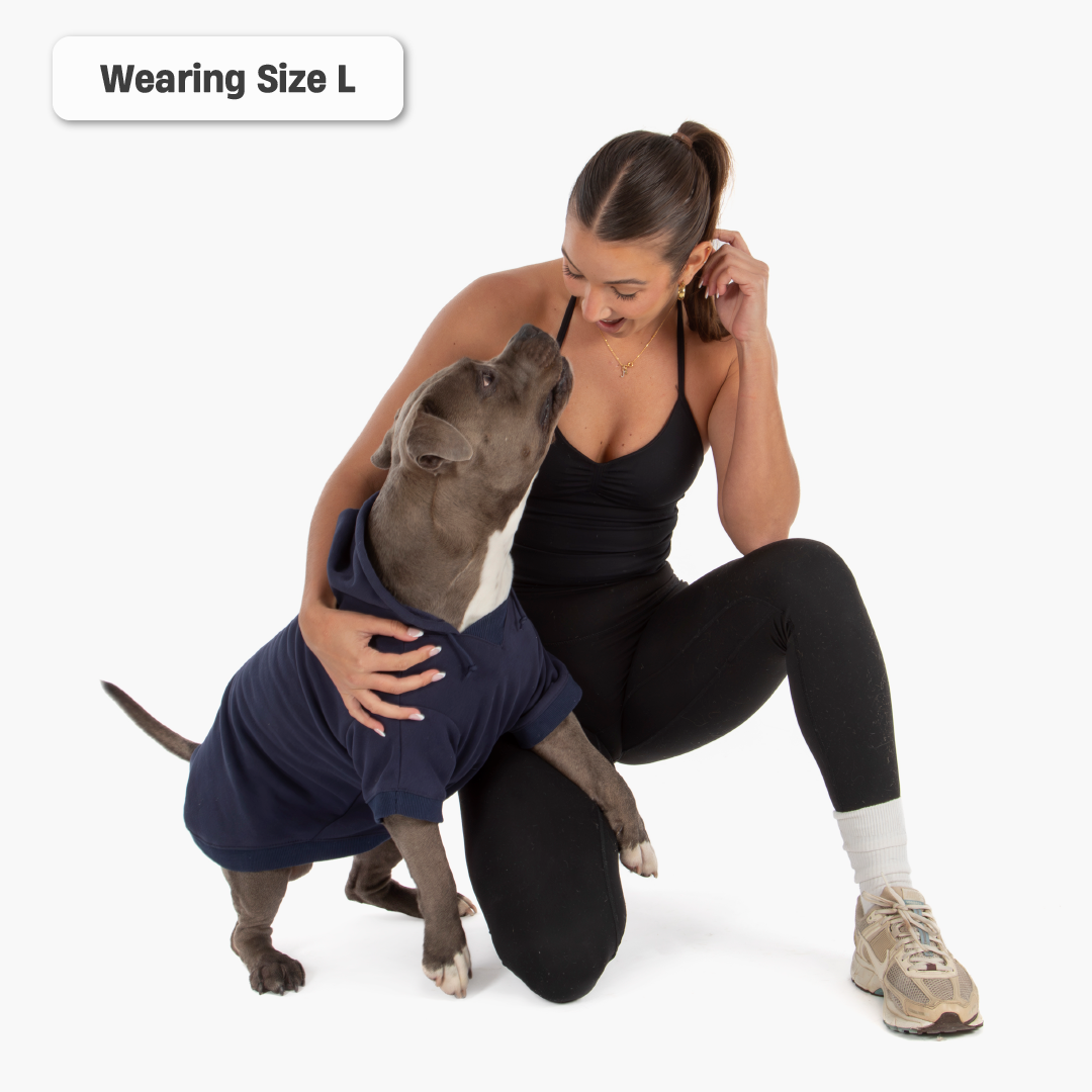 Winter Dog Hoodies - Navy Blue