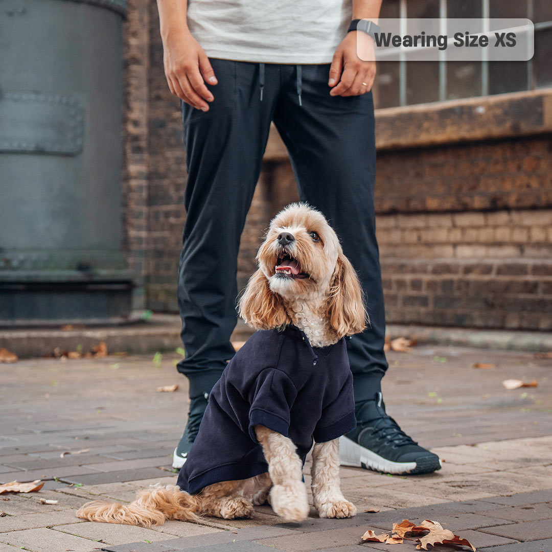 Winter Dog Hoodies - Navy Blue