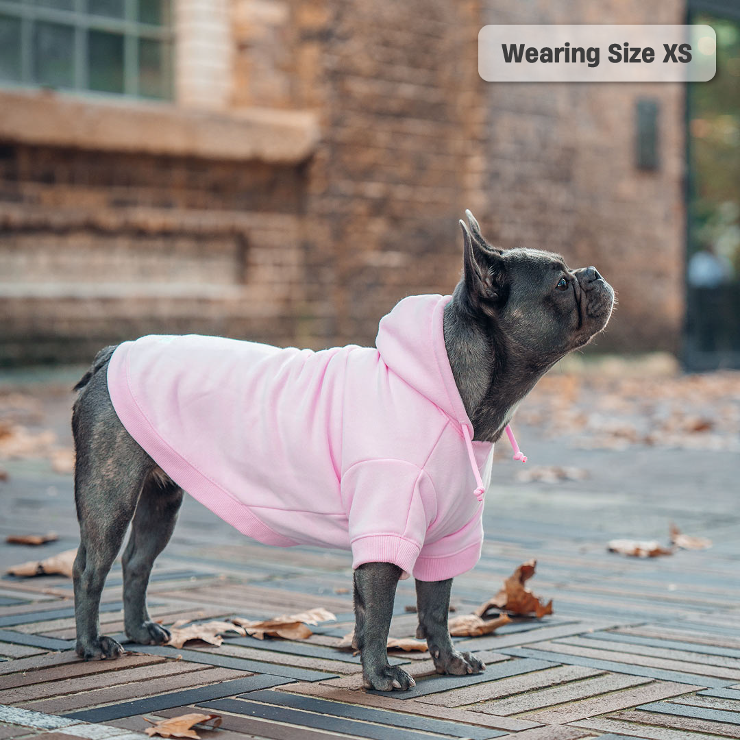 Winter Dog Hoodies - Pink
