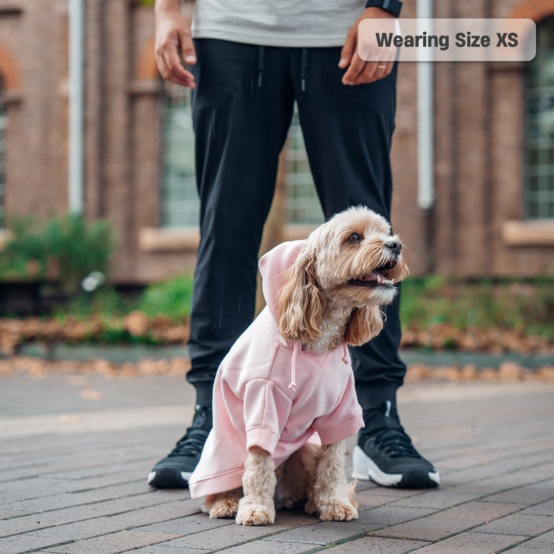 Winter Dog Hoodies - Pink