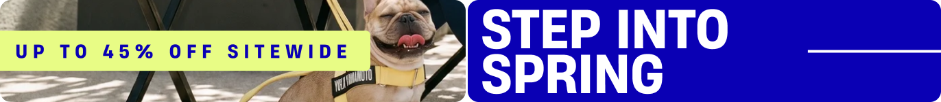 Promotional banner