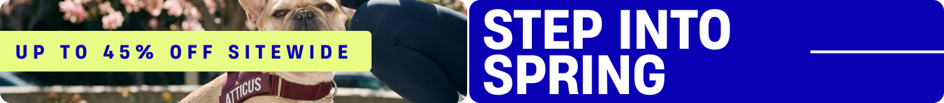 Promotional banner