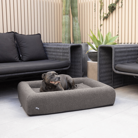 Premium Orthopedic Memory Foam Dog Bed - Brown Bouclé (Large)