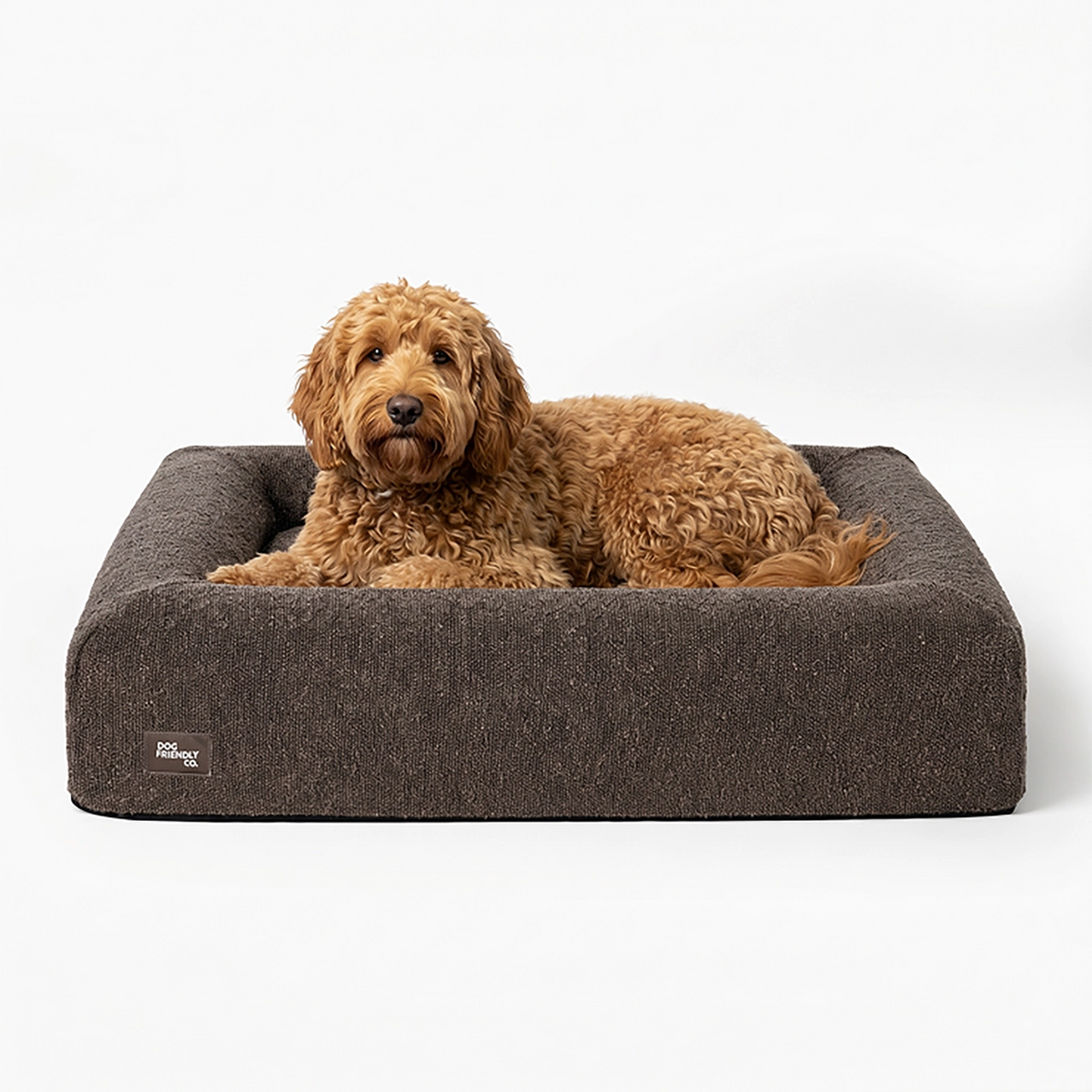 Dog resting comfortably on a brown bouclé-covered dog bed.