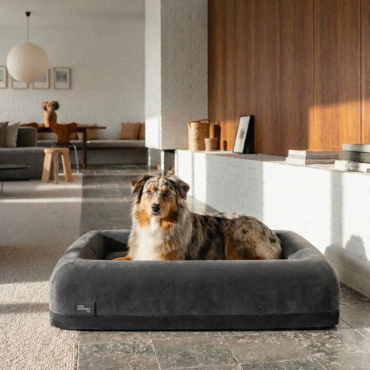 Dog resting comfortably on a charcoal-covered dog bed in a home setting.