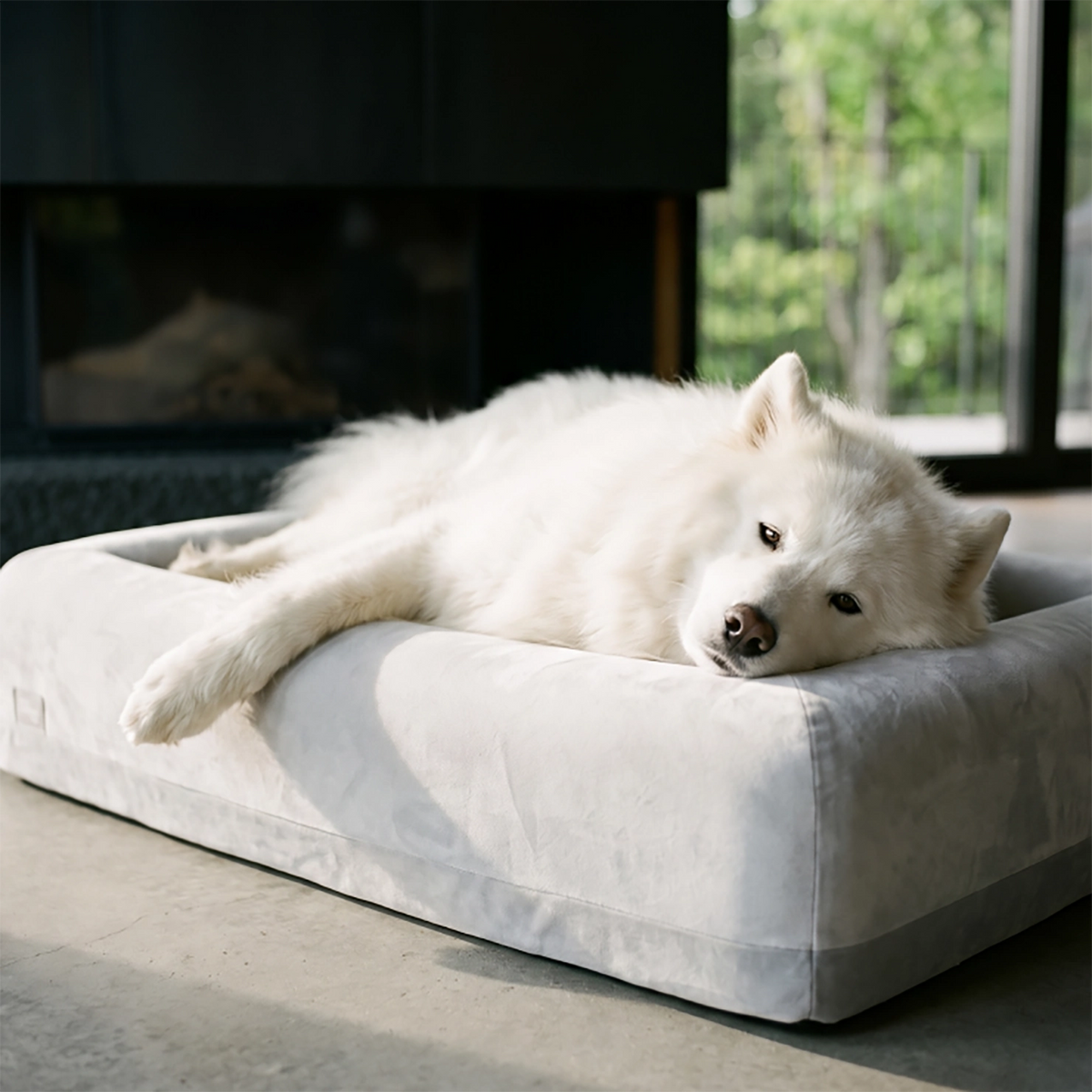 White dog lying comfortably on a grey Dog Friendly Co. dog bed.