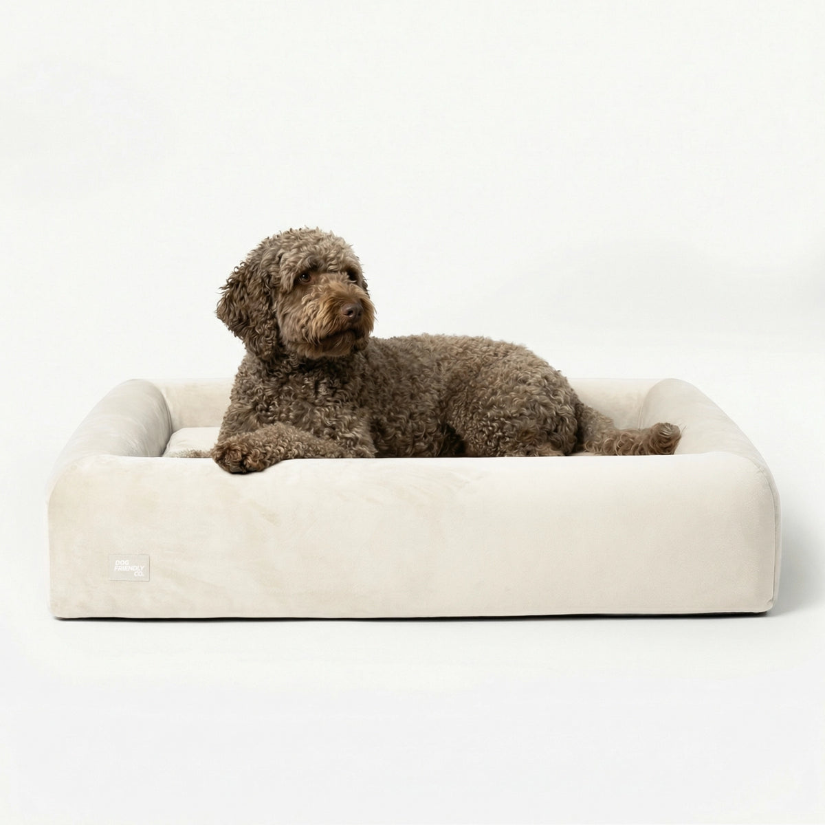 Premium Orthopedic Memory Foam Dog Bed in Beige with a brown curly-haired dog resting inside.