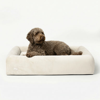 Premium Orthopedic Memory Foam Dog Bed in Beige with a brown curly-haired dog resting inside.
