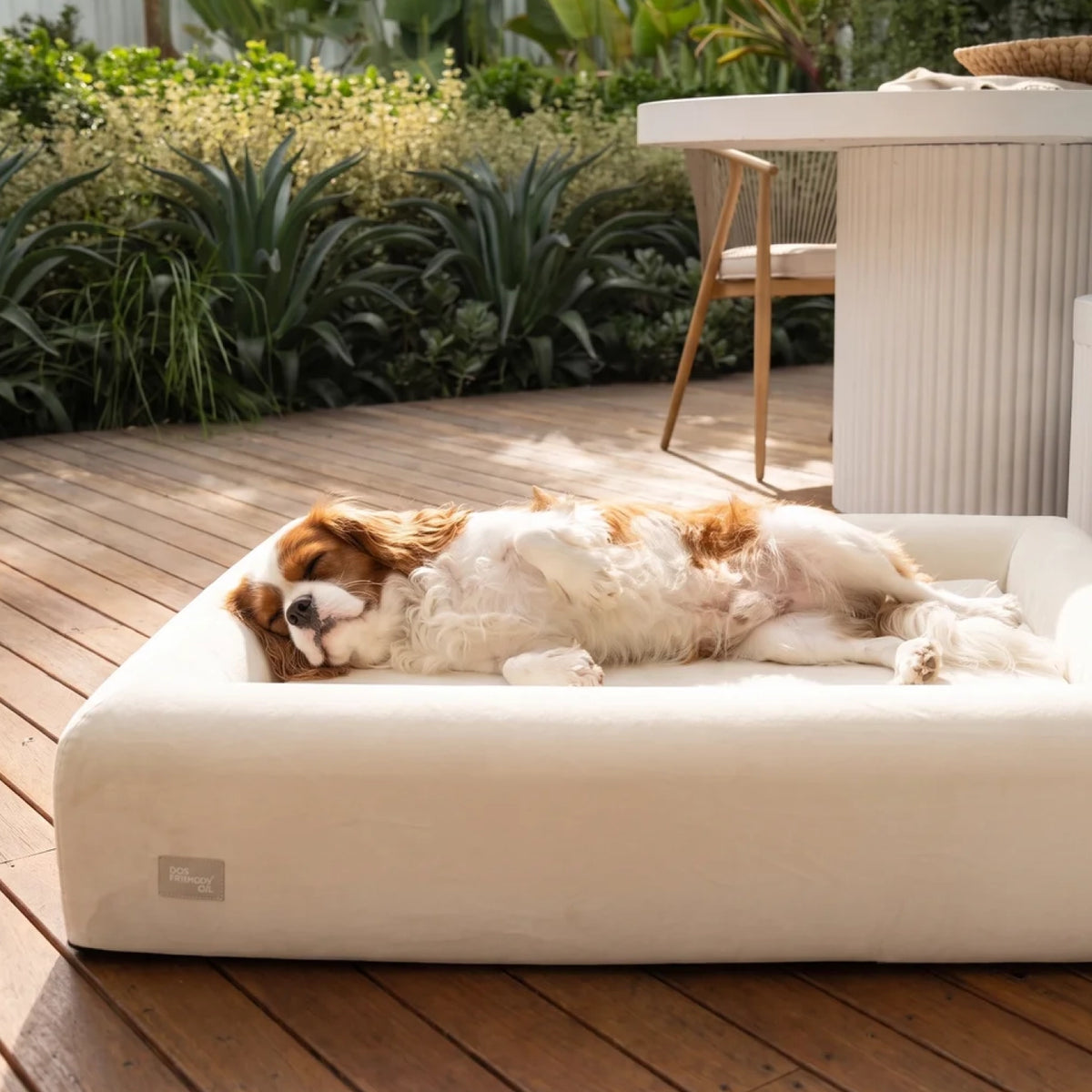 Brown and white dog sleeping comfortably on the Beige orthopedic memory foam dog bed outdoors.
