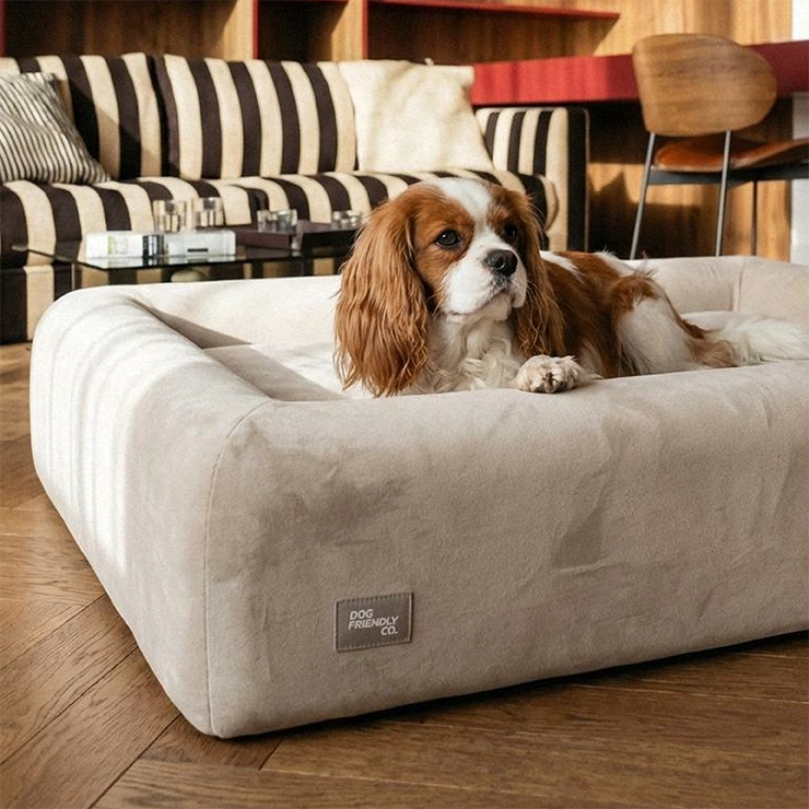 Premium Orthopedic Memory Foam Dog Bed - Beige (Large)