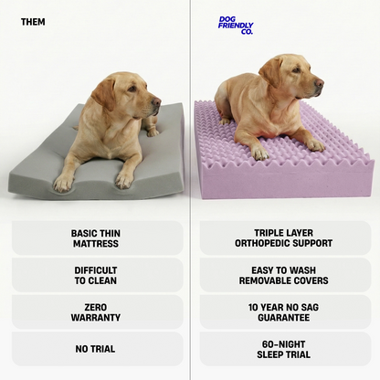 BASIC THIN MATTRESS; DIFFICULT TO CLEAN; ZERO WARRANTY; NO TRIAL; TRIPLE LAYER ORTHOPEDIC SUPPORT; EASY TO WASH REMOVABLE COVERS; 10 YEAR NO SAG GUARANTEE; 60-NIGHT SLEEP TRIAL.