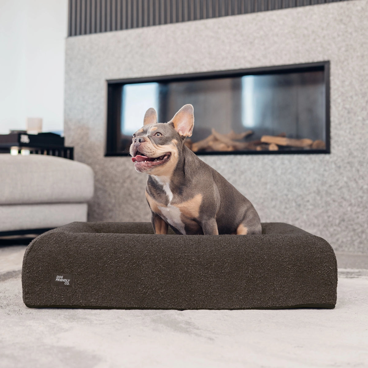 Brown Bouclé orthopedic memory foam dog bed with a French Bulldog sitting comfortably inside.