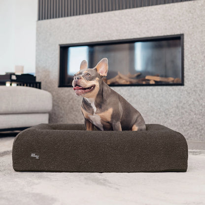 Brown Bouclé orthopedic memory foam dog bed with a French Bulldog sitting comfortably inside.