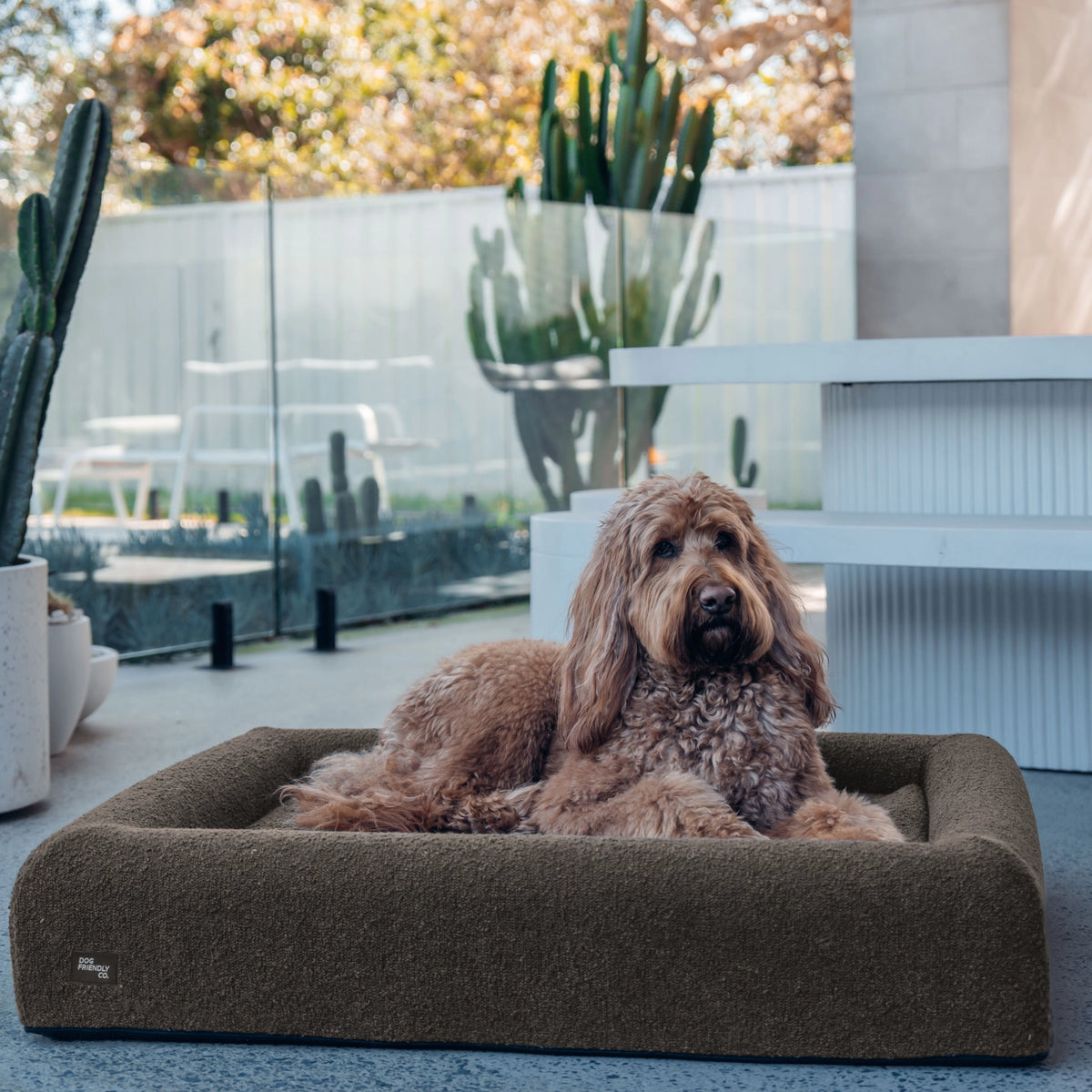 Brown dog relaxing comfortably on the Brown Bouclé Premium Orthopedic Memory Foam Dog Bed outdoors.