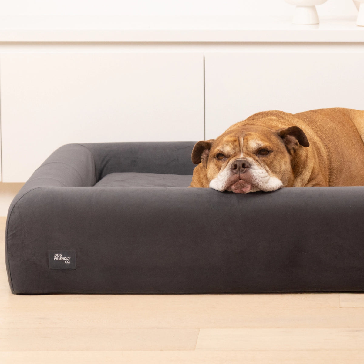Charcoal orthopedic memory foam dog bed with a yellow Labrador puppy resting comfortably inside.