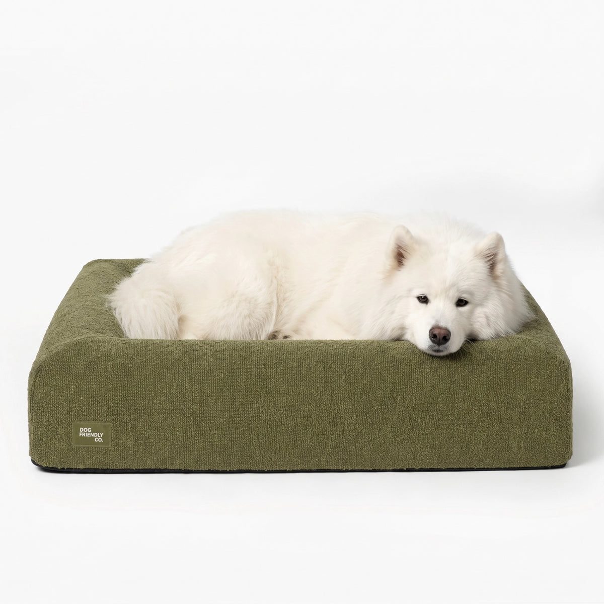 Premium Orthopedic Memory Foam Dog Bed in Green Bouclé with a white dog resting comfortably inside.