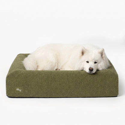 Premium Orthopedic Memory Foam Dog Bed in Green Bouclé with a white dog resting comfortably inside.