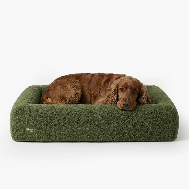 Premium Orthopedic Memory Foam Dog Bed - Green Bouclé
