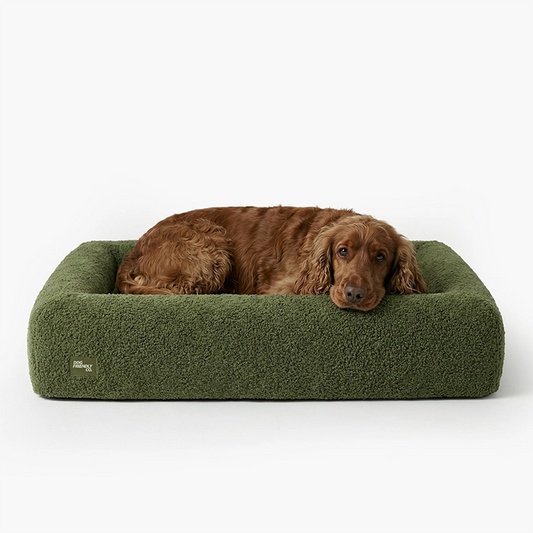 Premium Orthopedic Memory Foam Dog Bed - Green Bouclé (Medium)