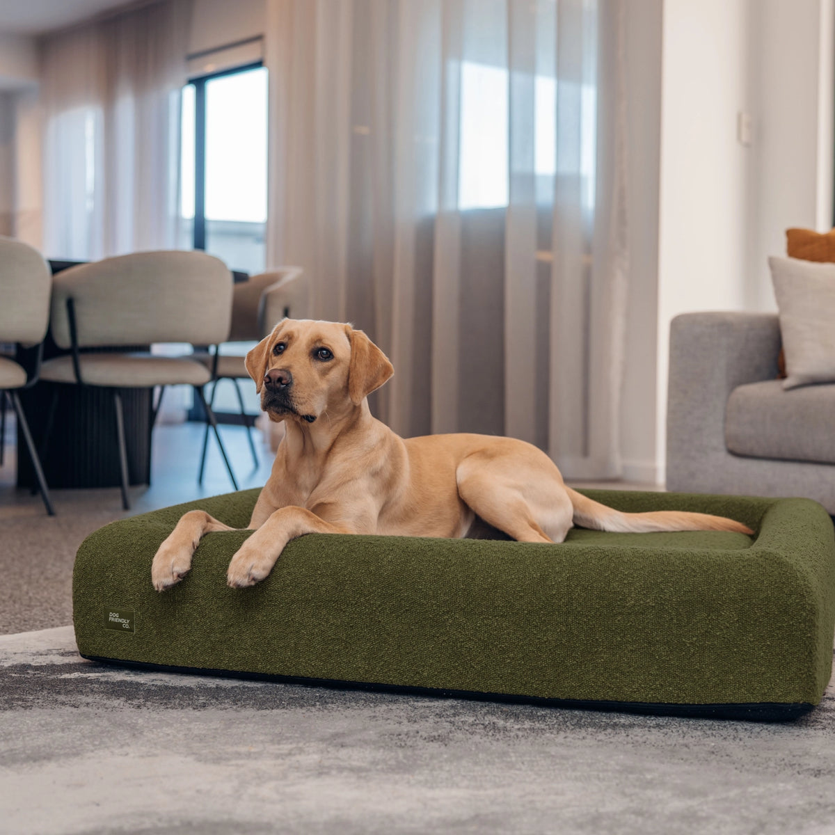 Premium Orthopedic Memory Foam Dog Bed in Green Bouclé with a brown dog resting comfortably inside.