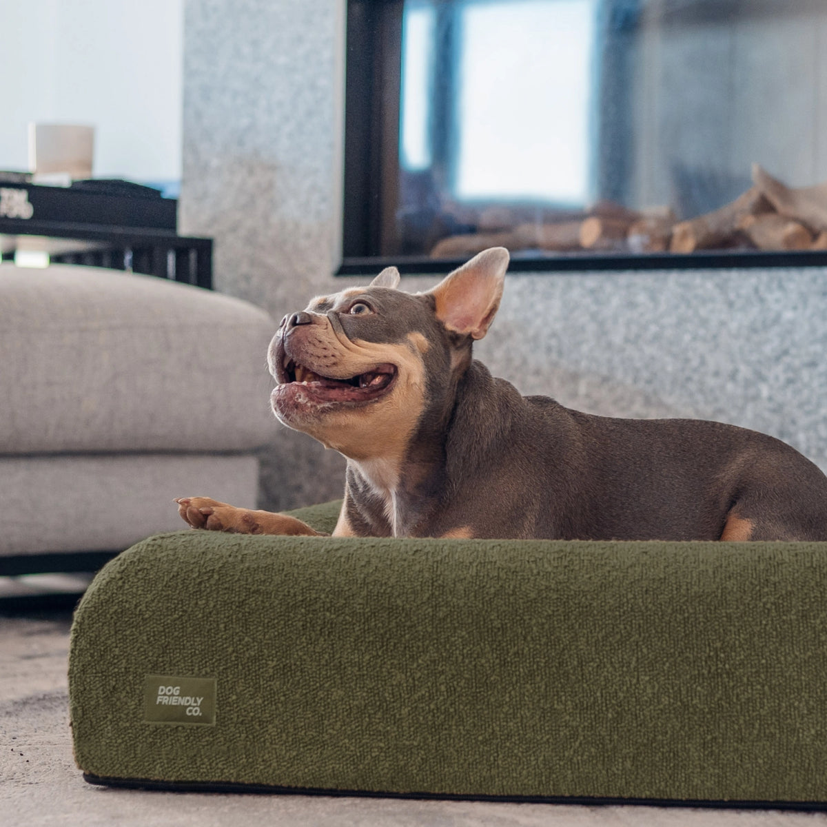 Green Bouclé Premium Orthopedic Memory Foam Dog Bed with a dog resting inside.