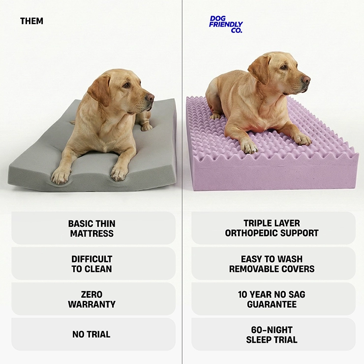Premium Orthopedic Memory Foam Dog Bed - Grey