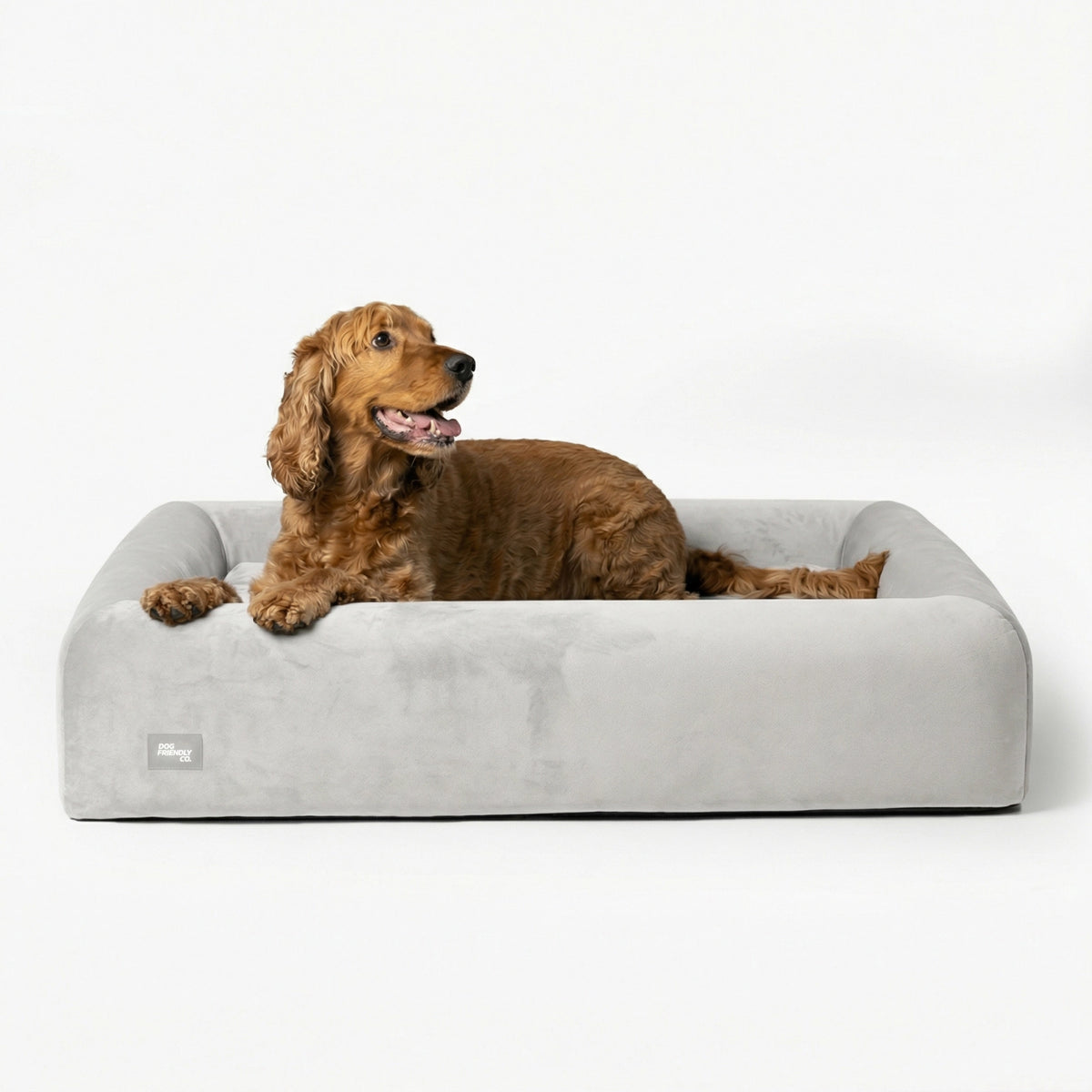 Premium Orthopedic Memory Foam Dog Bed in Grey with a dog resting comfortably inside.
