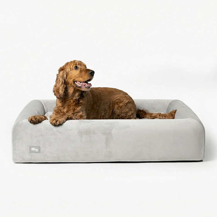 Premium Orthopedic Memory Foam Dog Bed - Grey