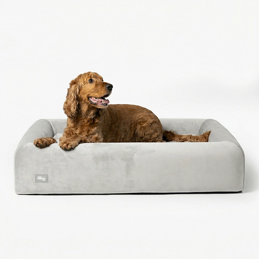 Premium Orthopedic Memory Foam Dog Bed - Grey (Small)