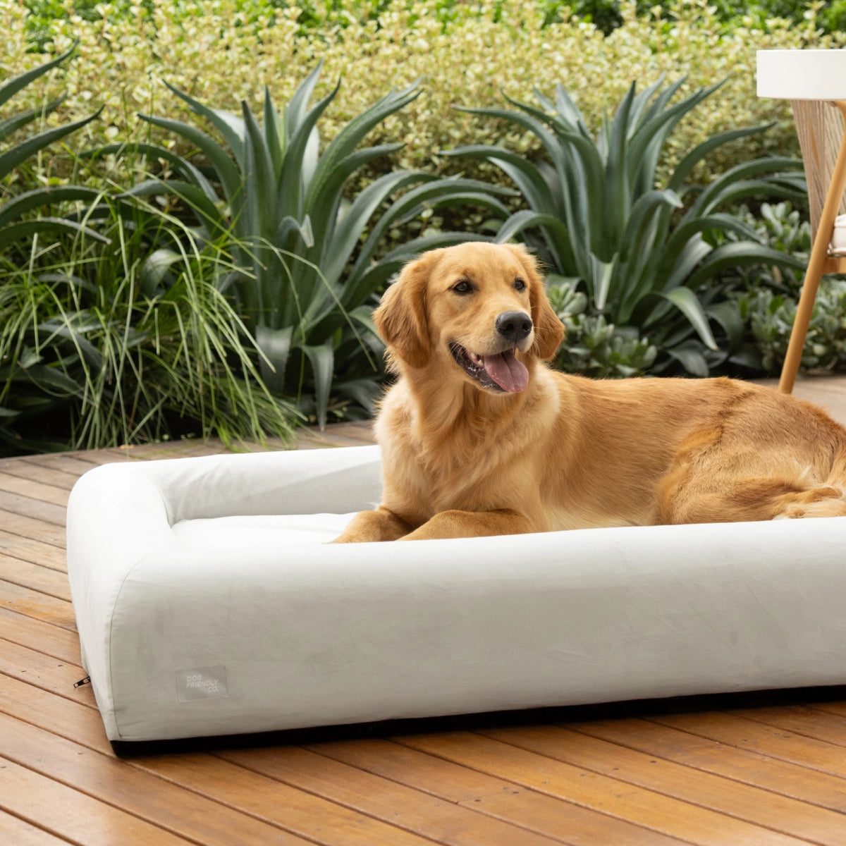 Premium Orthopedic Memory Foam Dog Bed in Grey with a dog resting comfortably inside.