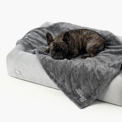 Premium Orthopedic Memory Foam Dog Bed - Grey
