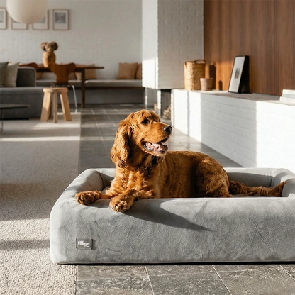 Premium Orthopedic Memory Foam Dog Bed - Grey