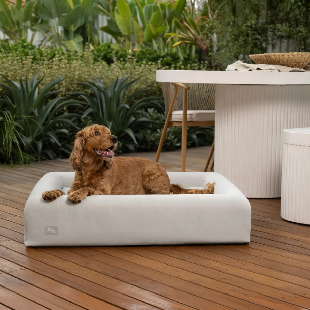 Dog resting comfortably on the Grey Premium Orthopedic Memory Foam Dog Bed.