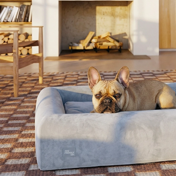 Premium Orthopedic Memory Foam Dog Bed - Grey