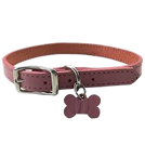 Essentials Collar - Brown