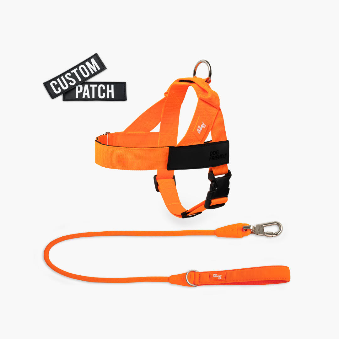 Signature Kit - Orange